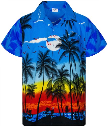 Funky hawaiihemd herren - hawaiihemd,